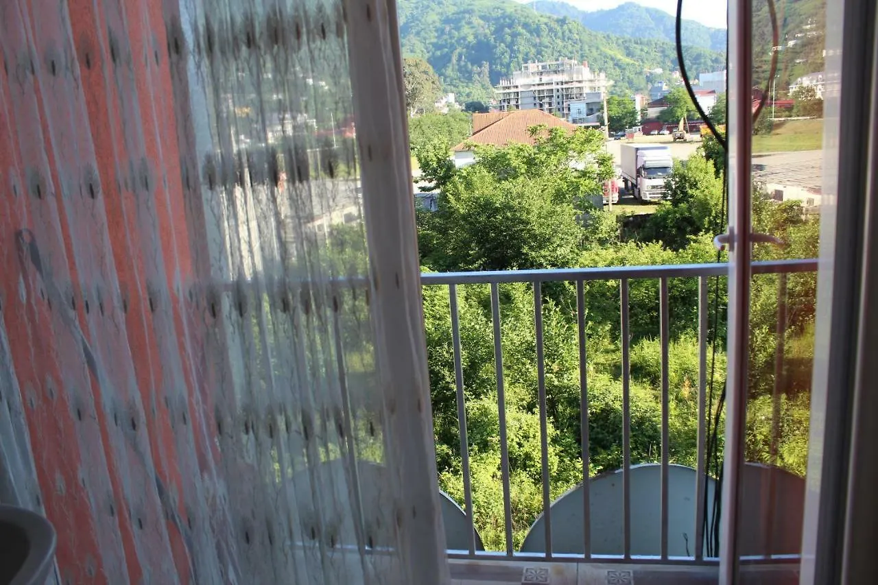 Hotel Georgia Gonio 0*,